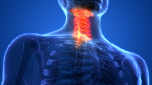 A graphic of spine of someone who needs to call a Atlanta Spinal Cord Injury Lawyer